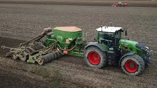 Fendt 939 & 724 | Amazone | Kuhn | Semina Grano | Sowing Wheat | Rosina