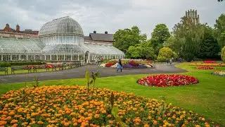 Belfast Tropical Ravine | The Palm House |