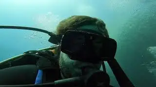 Incredible dive at Leon Dormido in San Cristobal, Galapagos