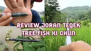 Review Joran Tegek ThreeFish XI CHUN