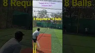 Maiden Over Shock in Easy Chase | 44 in 7 Overs Thriller #batandpaddle #boxcricket #shorts #ytshorts