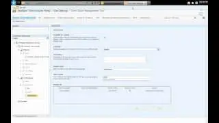 How to use Term Store Management Tool