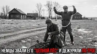 Он душил немцев велосипедной цепью. Как офицер НКВД стал партизаном-убийцей