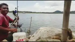 mancing nila,umpan pelet,pancing ombyok..banyak hasil