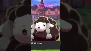 Pokemon Shield Shiny Wooloo