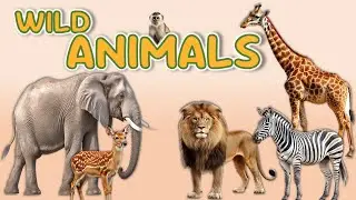 Дикие животные для детей 🦁🐘 | Игра &laquo;Угадай животное&raquo; | Изучаем названия животных | Обучающее виде...