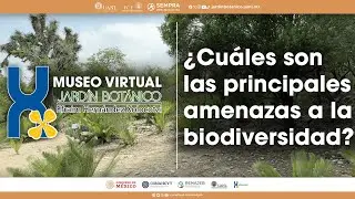 ¿Cuáles son las principales amenazas a la biodiversidad?