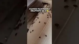 Арmyртикул WB👇🏼340731248 анти-жир340741110 анти-известьНабор 2в1: 374557853Clean Formula
