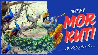 Barsana Dham ll Mor Kuti ll यहां श्रीकृष्ण ने मोर रूप में नृत्य किया था l