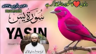 Ask qasmi sahab, education, islamicvideos, islamic guidance on past and present story,