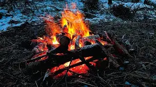 🔥 Real Campfire in Snowy Forest | Authentic Nature Sounds | No Music | Sleep & Relax 🌲