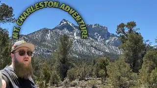 Mt. Charleston Adventure: Hiking to Breathtaking Views 🏔️