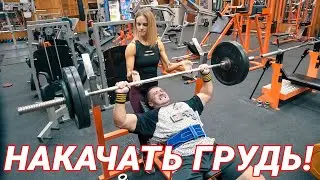 НАКАЧАТЬ ГРУДЬ!