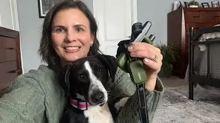 Jugbow dog training collar 