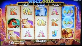 Online Casino Club - Wolf Gold - Sch&ouml;nes Game