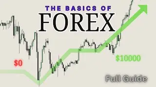 Learn Forex Trading From Scratch | Forex Beginner Lesson 1 | Hindi