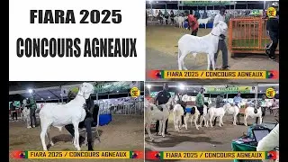 FIARA 2025 / CONCOURS AGNEAUX