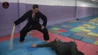Bujinkan Budo