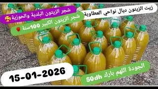 زيت الزيتون البلدية الحوزية نواحي العطاوية ✓طحنة اليوم 15-01-2026✓الجودة ما شاء الله ✓ثمن الزيت 50dh
