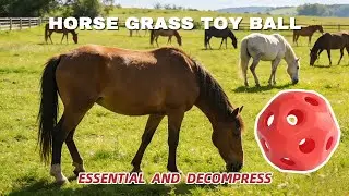 Horse Hay Ball Toy &ndash; Slow Feeding for Horses & Calves!