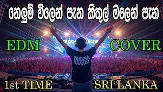 This DJ Party Gets WILD Fast sinhala edm song