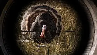 Far Cry 5 - Hunting Turkeys - Open World Free Roam Gameplay (PC HD) [1080p60FPS]