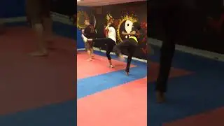 Sensei Mateo training session: Front kick and round house.