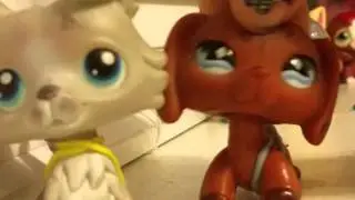 Have this happen like a year ago when he was been mean to him