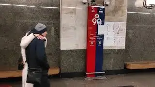 Ноябрьская Бутовская линия Битцевский парк - Бунинская аллея 
