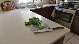 How To Revive Wilted Kale - Secret Kale Tips (5 EASY Steps!)