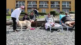 Semiahmoo 4k
