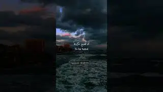 #Shorts #video #story #love #iloveyou #maroc #algerie #happy