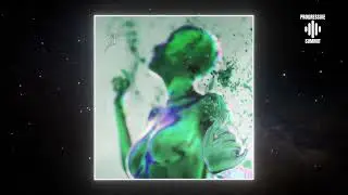PREMIERE: Brendon Fury, INNRSPCE - Vision (Original Mix) [Protagonist Recordings]