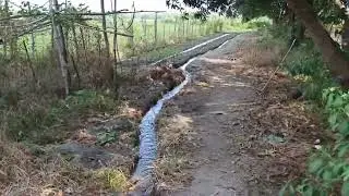 Ngadilig kme ng mga alaga nmen pananim sa bukid nila boss japot