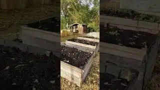 The garden is winter ready!