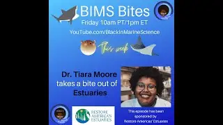 BIMS Bite-Estuaries