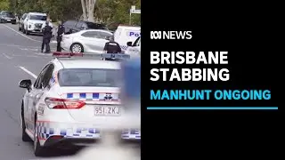 Man stabbed to death on street in Brisbane suburb of Mansfield, manhunt underway | ABC News