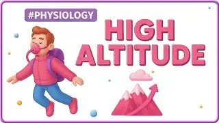 22. High Altitude Physiology  | Respiratory Physiology | USMLE Step 1