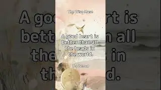 The Wisdom of The Talmud #audiobook #asmr #motivation #thewisdom #book #booktube #thetalmud #quotes