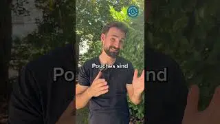 Rauchfrei, tabakfrei, sorgenfrei &ndash; Warum Pouches klare Regeln brauchen