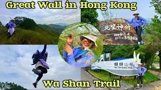 Wa Shan Hike #shortvideo #hkadventure #hiking #nature #hkhikers #hktrail #easyhike