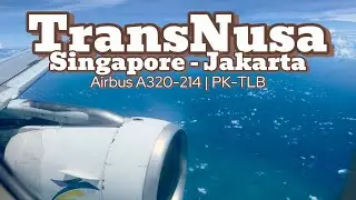 Mencoba Pesawat TransNusa Singapore-Jakarta dengan Airbus A320-214 | Flight Report | Trip Report