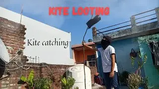 Kite looting | kite catching |  Ankit kite fighting | vlog by shivansh | @KiteLoverOfficial