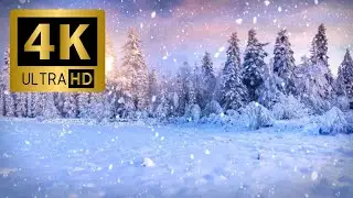 Snowy Tree Screen | Snowy Tree Nightlight | Snowy Lake Tree #snowytree #snowynightlight #greenscreen
