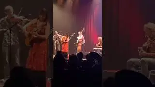 Opa Cupa live in Pantheon, Bonn, Germany // 