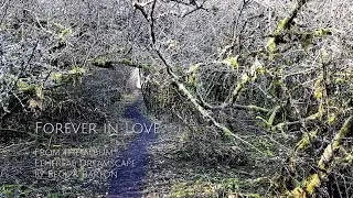 Forever in Love - Beck & Barton.