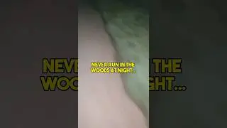 НИКОГДА не бегайте по лесу ночью&hellip;