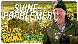 Svineproblemer - Clarkson's Farm S3 | Prime Video Danmark