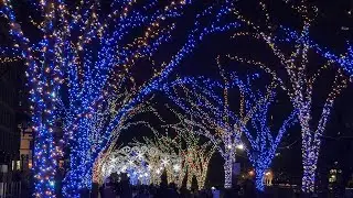 Nakanoshima Lights - Osaka - Japan - Christmas - December 2021 - 4k60 HDR