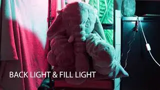 3 point light